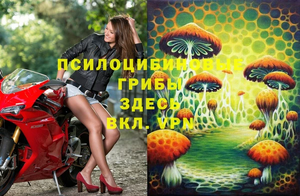 стаф Алексин