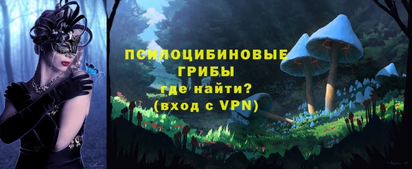 стаф Алексин