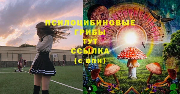 стаф Алексин