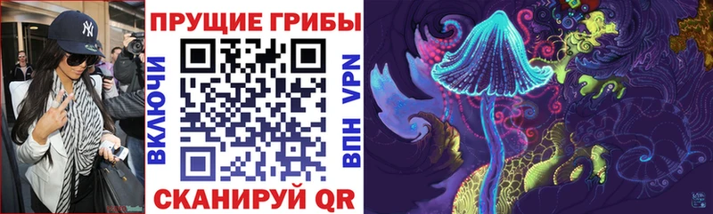 Псилоцибиновые грибы MAGIC MUSHROOMS  shop Telegram  Шумиха 